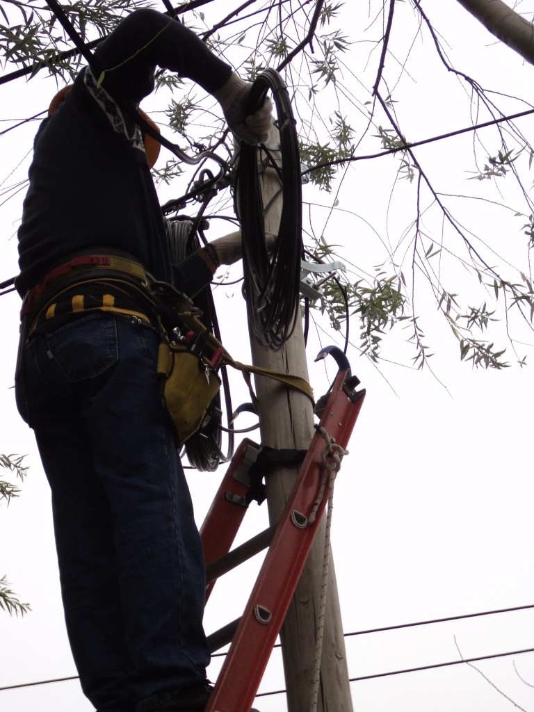 Trabajos en la red